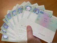 Шенгенские Визы.Визы